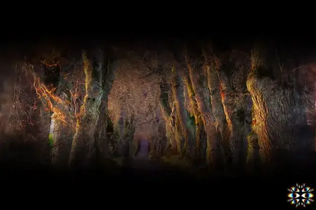 Psychedelics vs Psychosis v3
