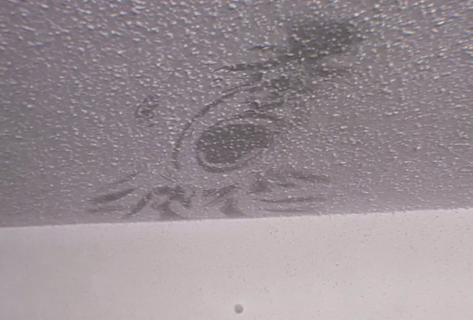 Faces on the ceiling (DPH)