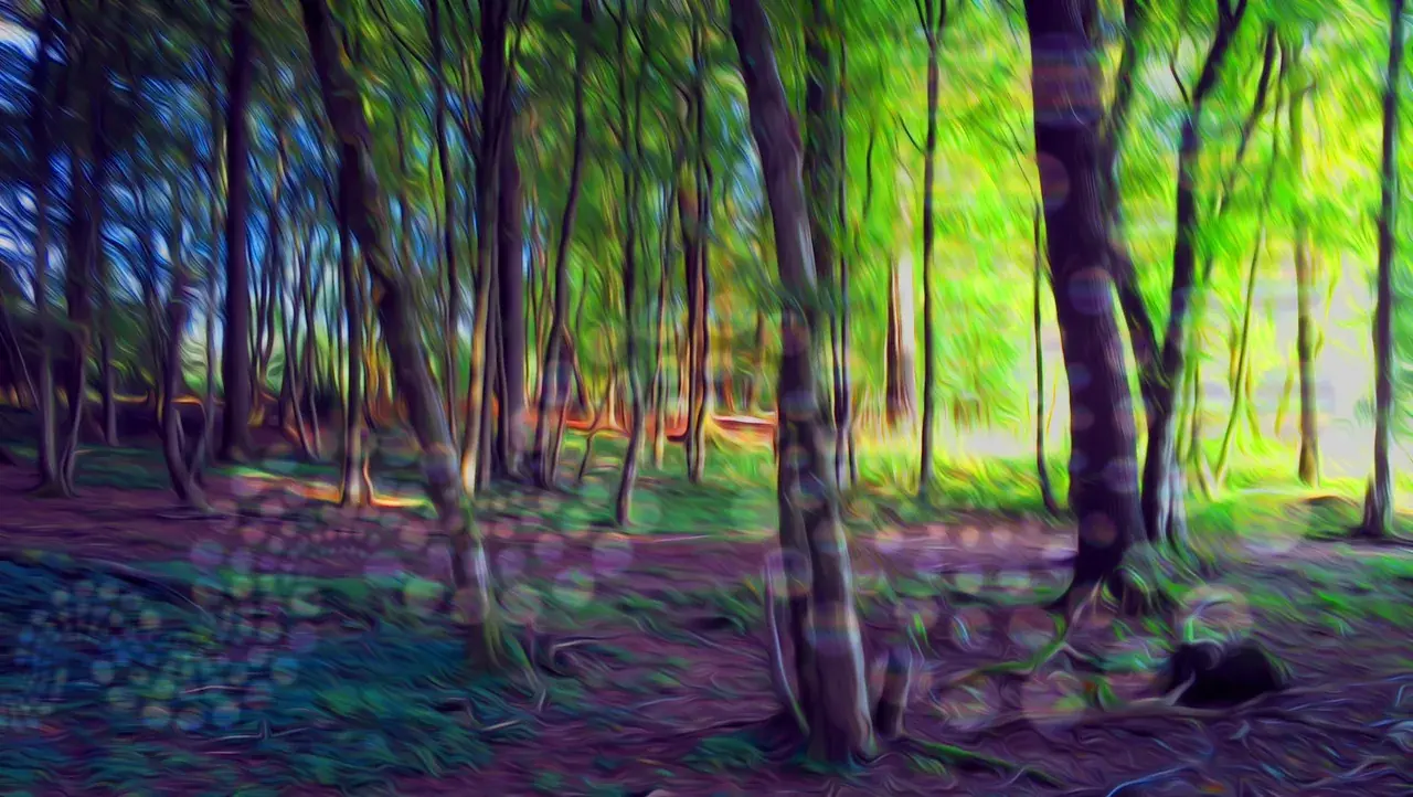 shroom vision [x-post /r/shrooms]