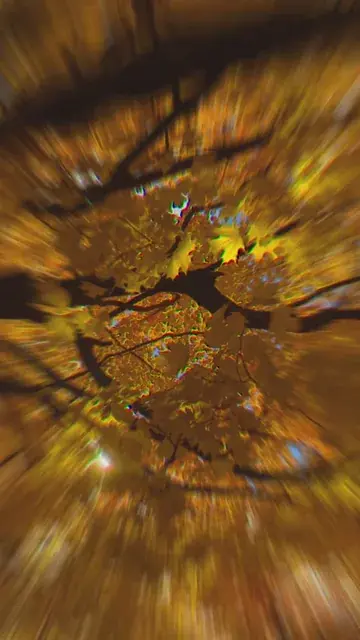 It do be fall