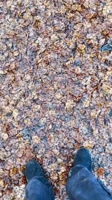 wobble
