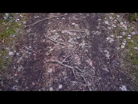 Here's a demo of a replication that I'm working on 