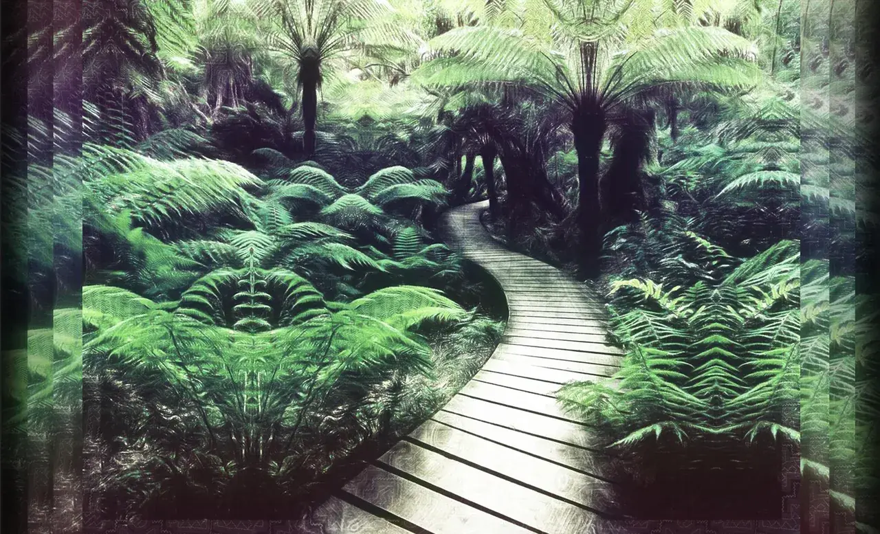 Jungle Walkway