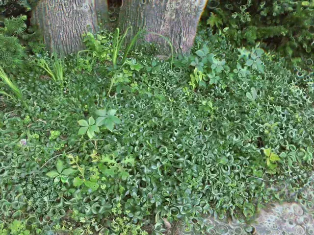 The shrubbery is communicating 😯