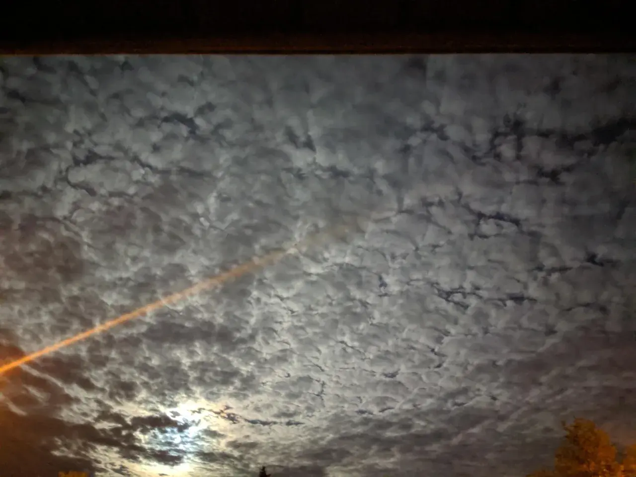 A night site shot of my front patio RN. All I see is slightly judgemental rainbow pandas. So fluffy!