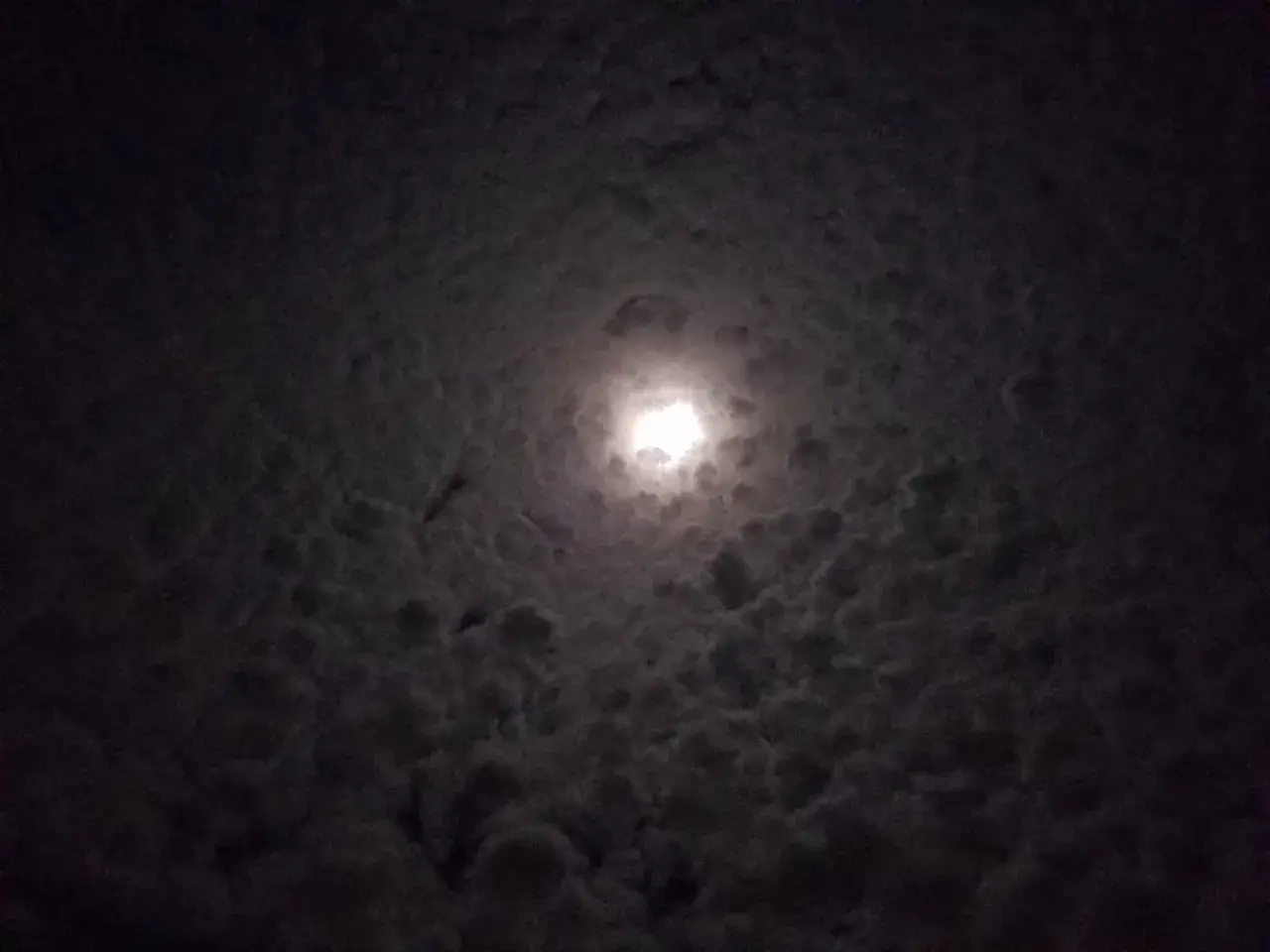 150ug of LSD looking at the night sky