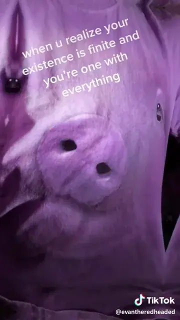 LSD Replication