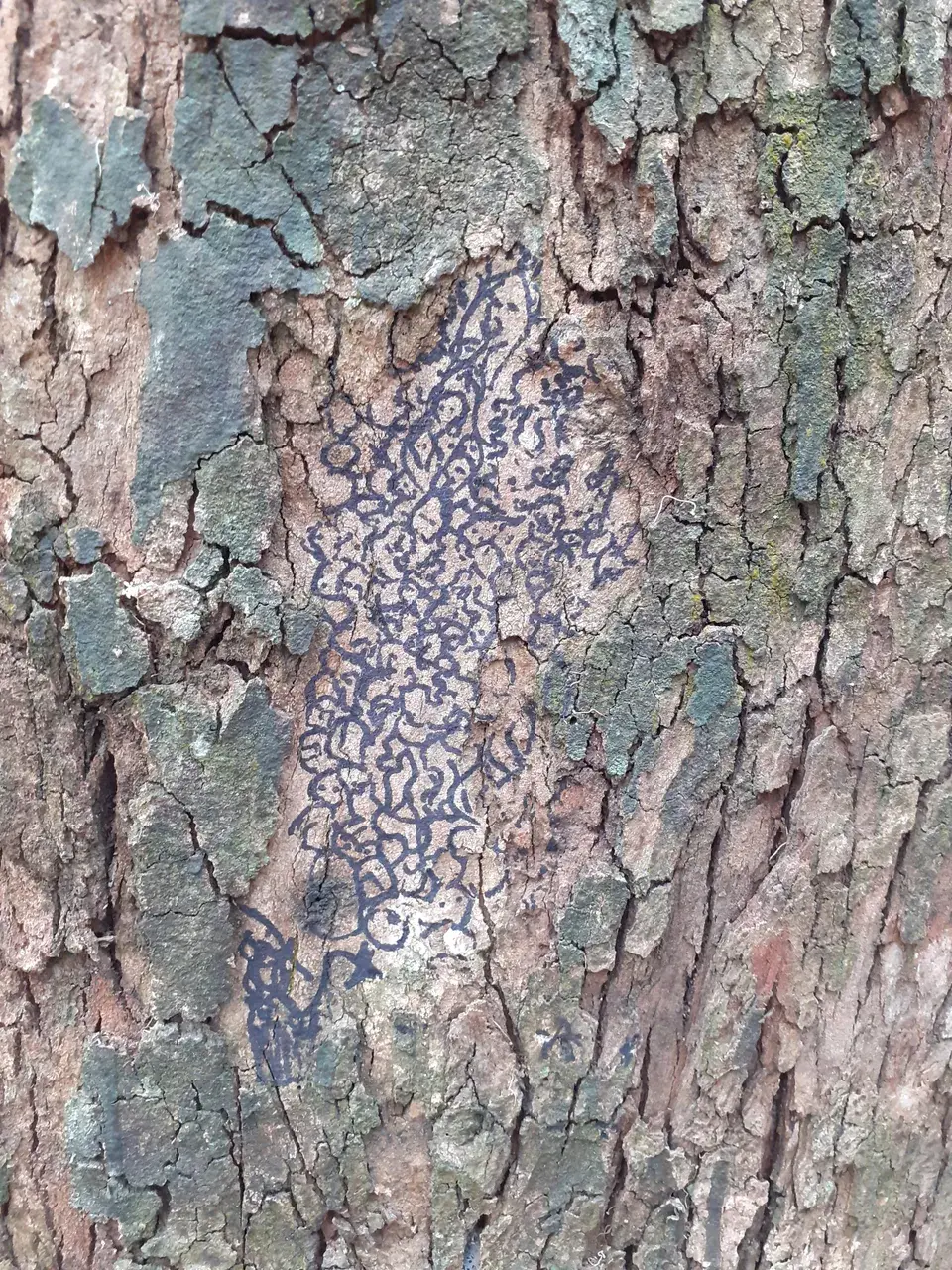 i tried to draw the patterns in this tree. anybody else see's a million human beings melting?