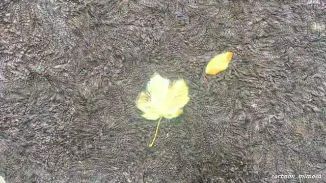 That’s a funny looking leaf