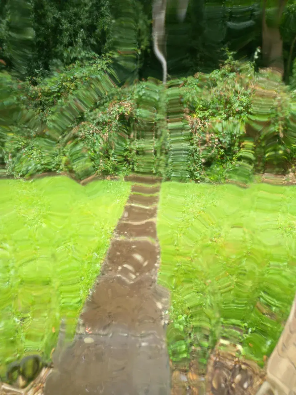 Early morning 150ug lsd and weed come up.