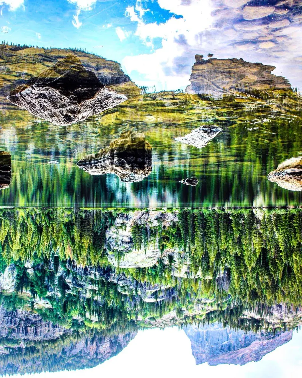 🌲⛰🌲