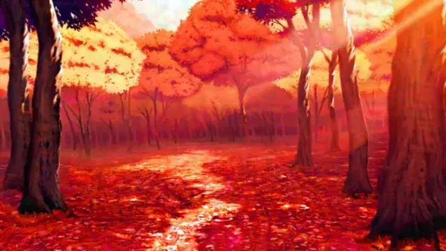 shrooms visuals