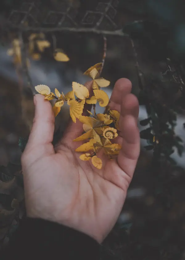 Tripping on acid in the woods [replication]