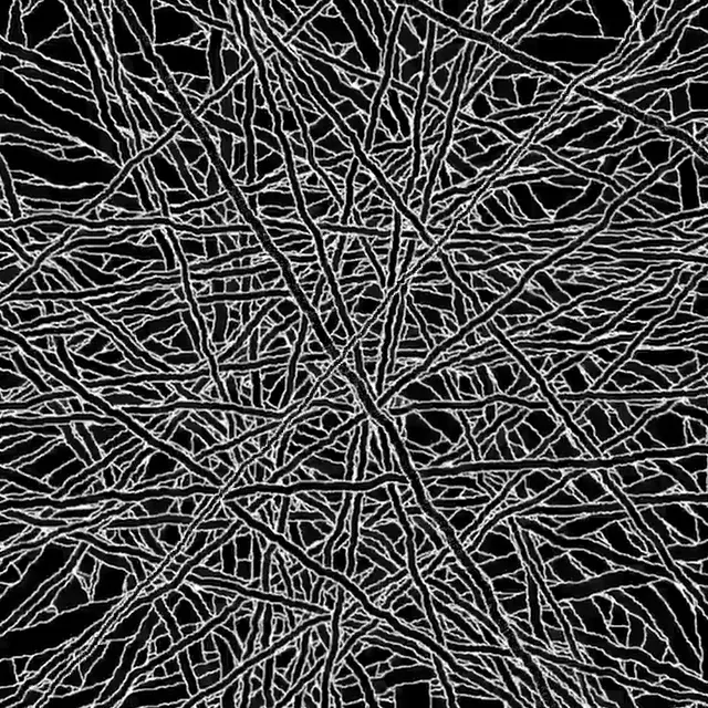 Not exactly a replication but certainly is trippy