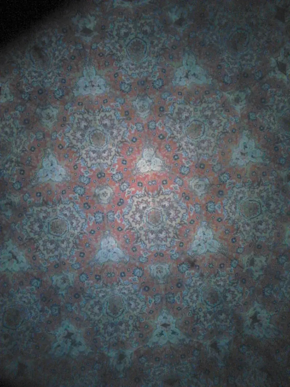 Carpet - LSD