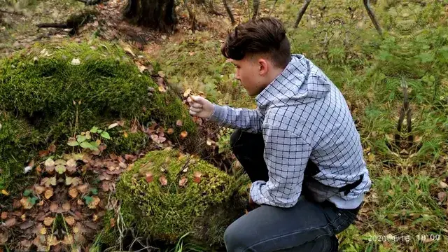 Mycologist (2g of Psilocybin)