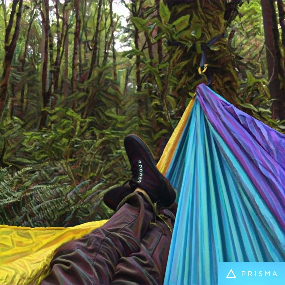 300ug in the forest