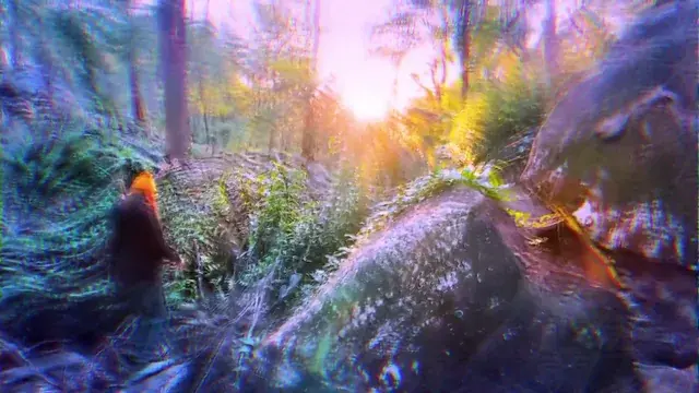 Leaving the trail 🍄