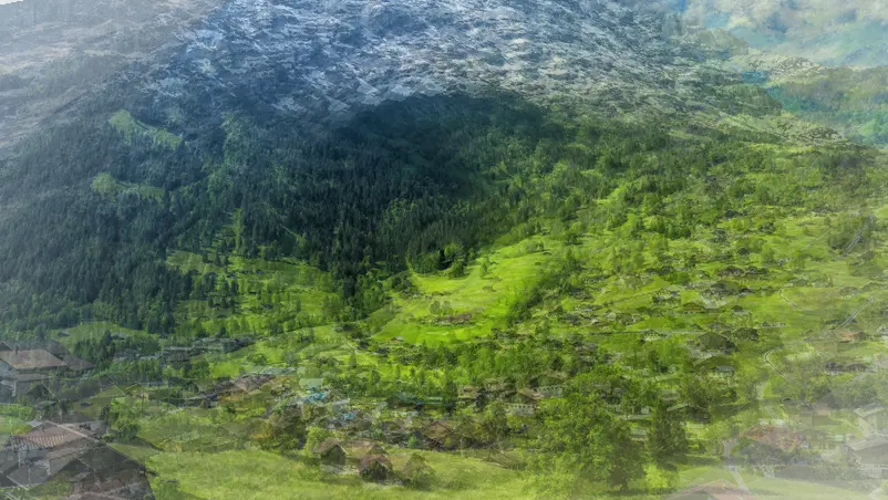 Grindelwald (AL-LAD 225ug)