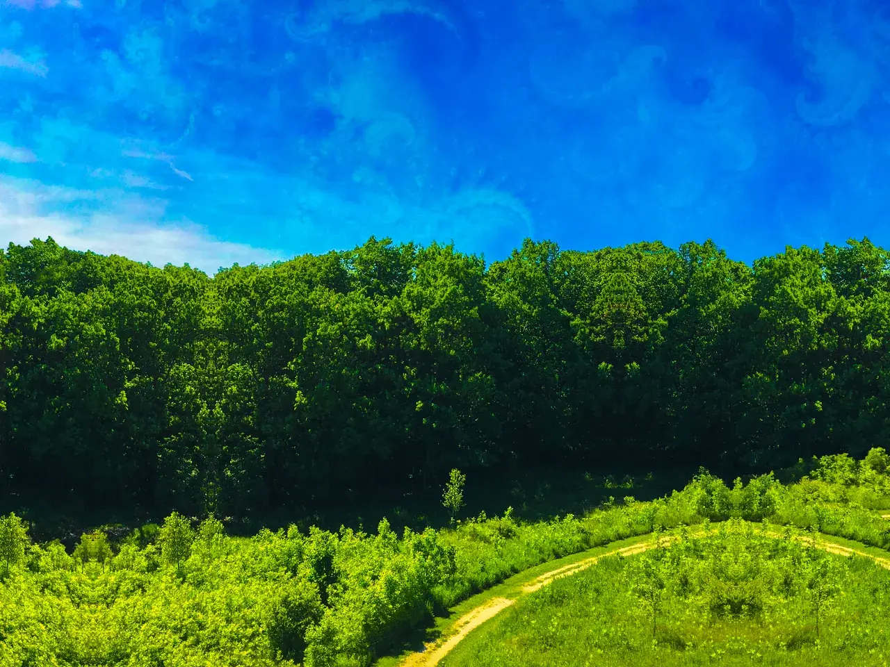 The Forest's Edge on 2-CB
