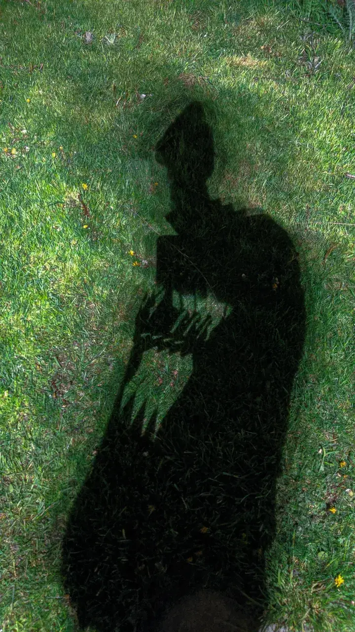 You've just entered the shadow realm. Act cool and nobody will know
