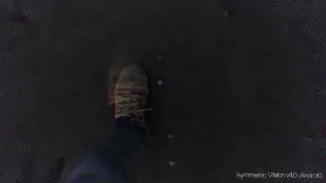 Symmetric Vision App v1.0 (Available on Google Play)