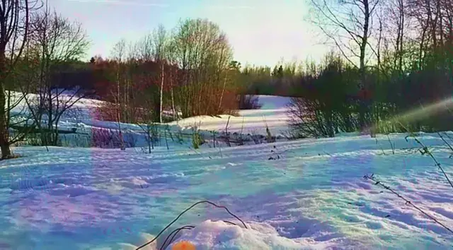 Live Camera Trip app update v2