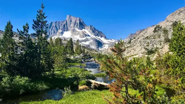 A walk into a Bob Ross painting [LSD interpretation]