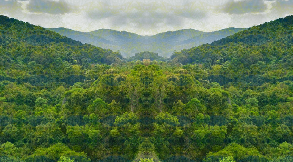 Some more LSD visuals created with Python (low, medium, strong, and some reference images)