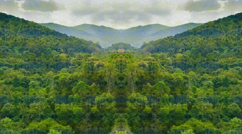 Some more LSD visuals created with Python (low, medium, strong, and some reference images)