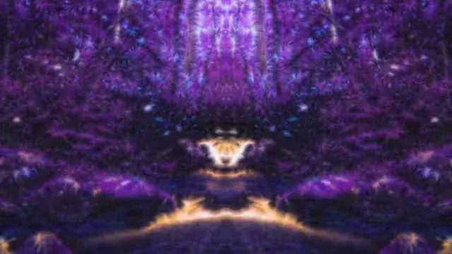 LSDMT