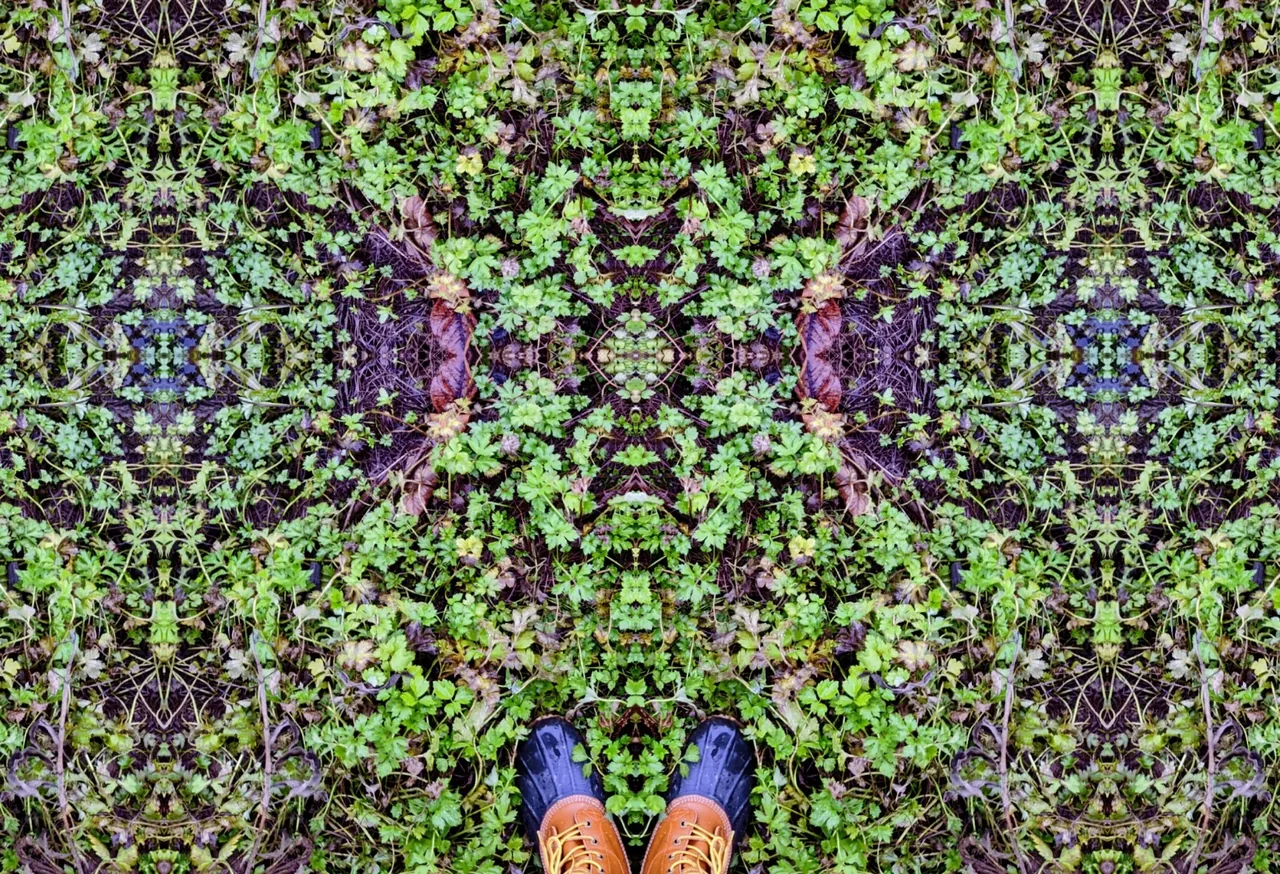 Mirrored Garden Ground