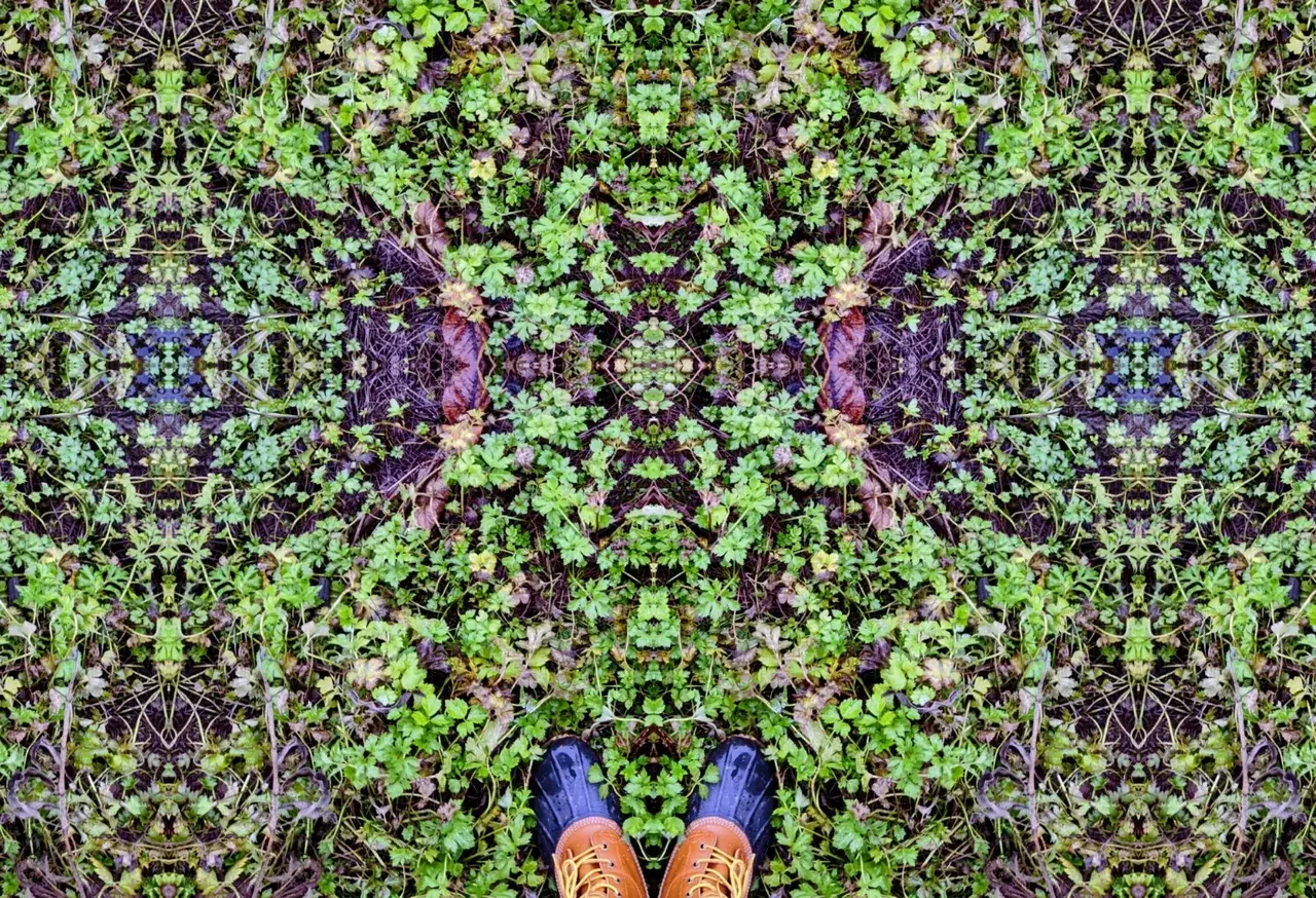 Mirrored Garden Ground