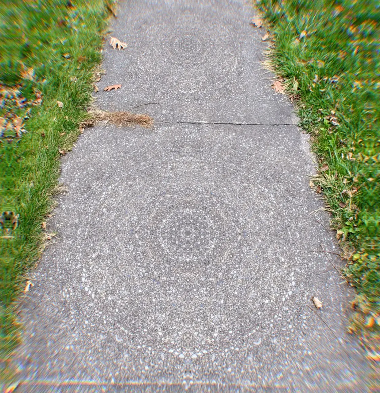 Sidewalk Mandala