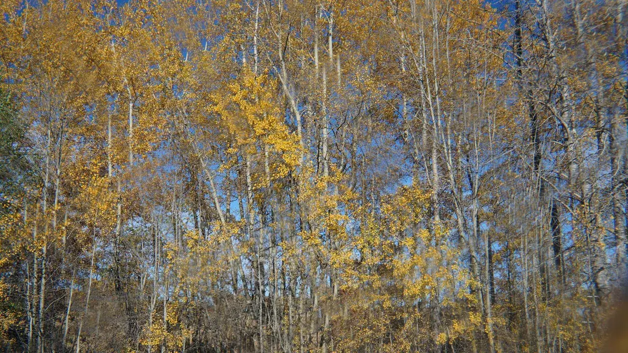 Took these back in October 2015, and just realized they might be appreciated here.
