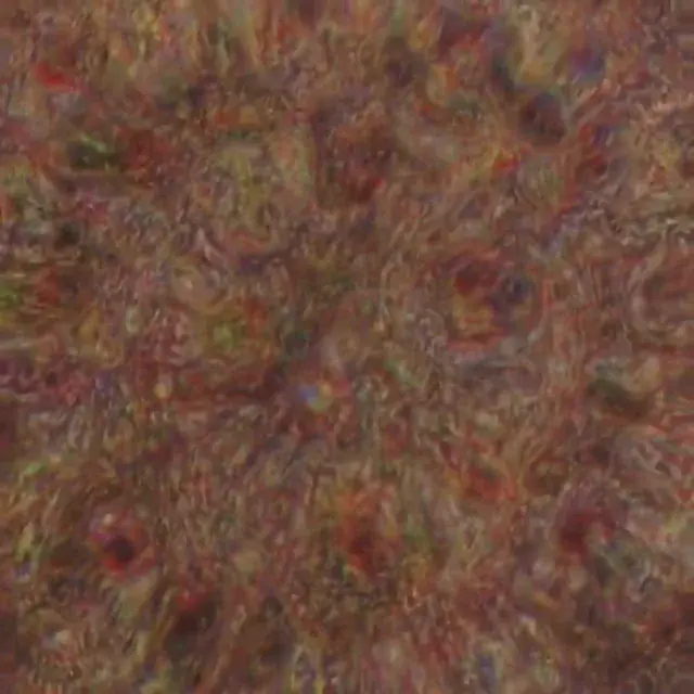 Heavy dose of shrooms