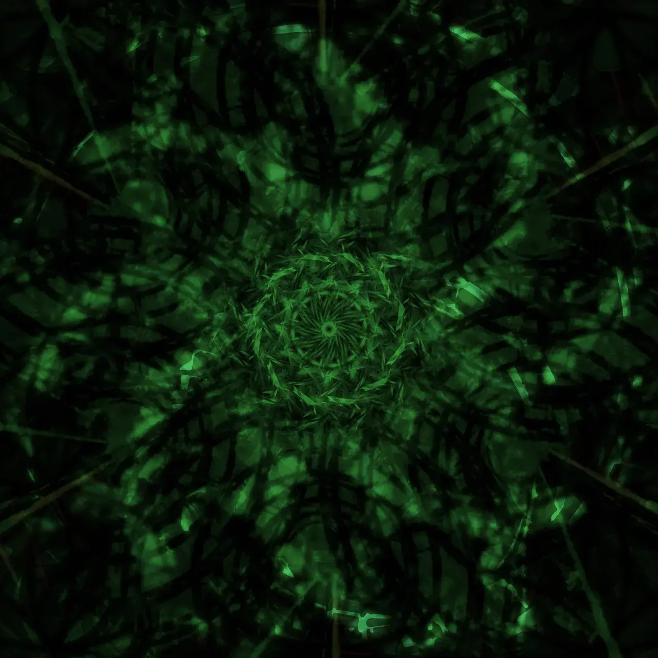 DMT Tunnel