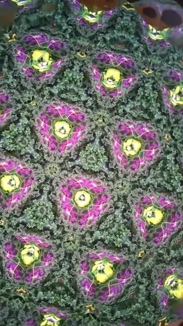 this was a neat find at the park OC