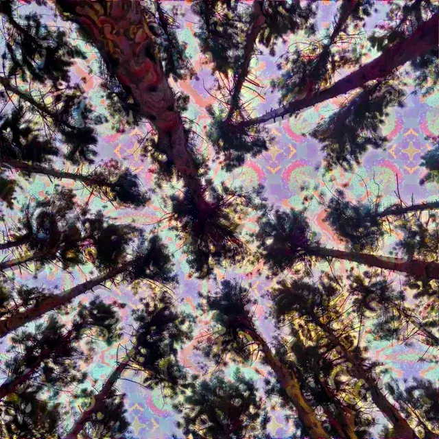 Looking up on 400μg