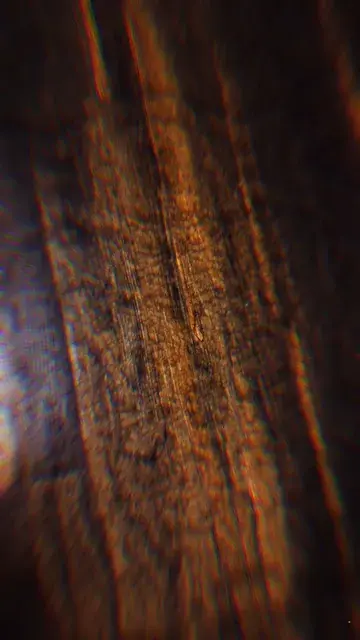 the hardwood is breathing