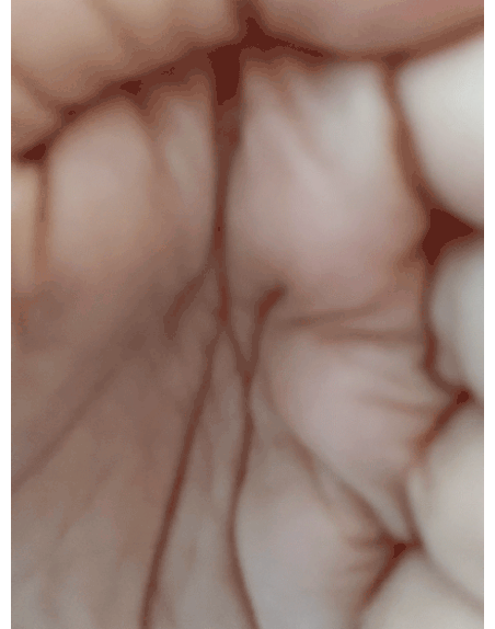 I took these while on my first shrooms trip last week