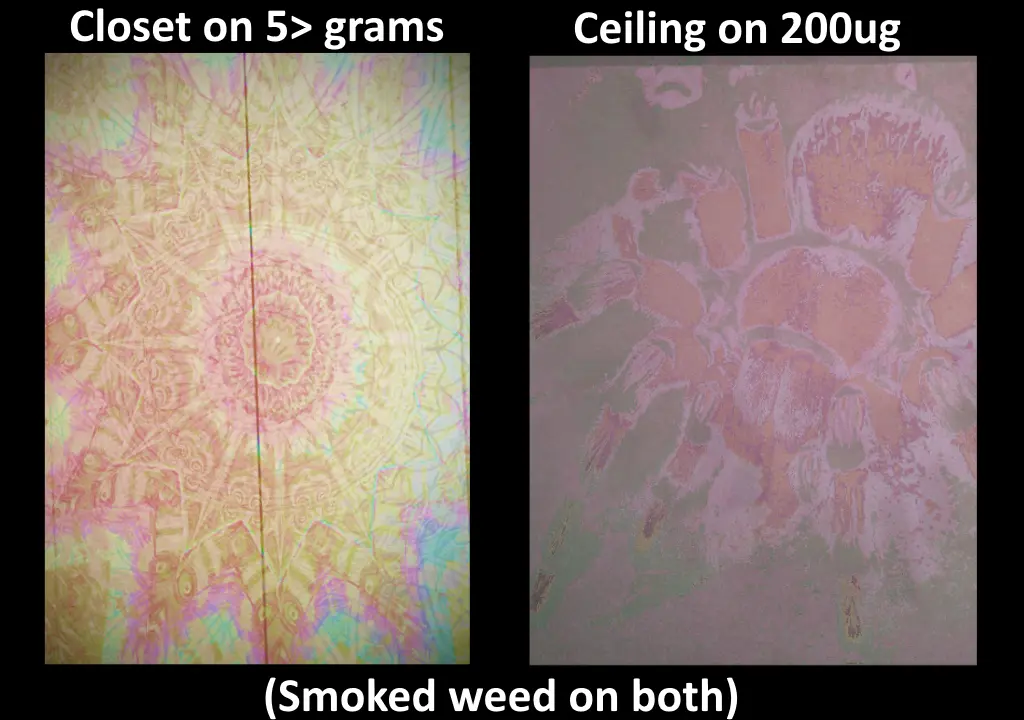 Shroom Visuals vs Acid Visuals