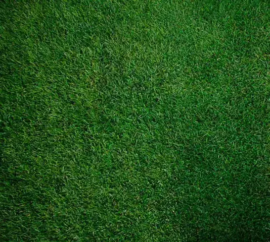 Realistic LSD Visualization - “Drifting” and “Recursion”