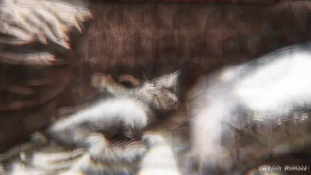dissociating from reality with shrooms and dxm