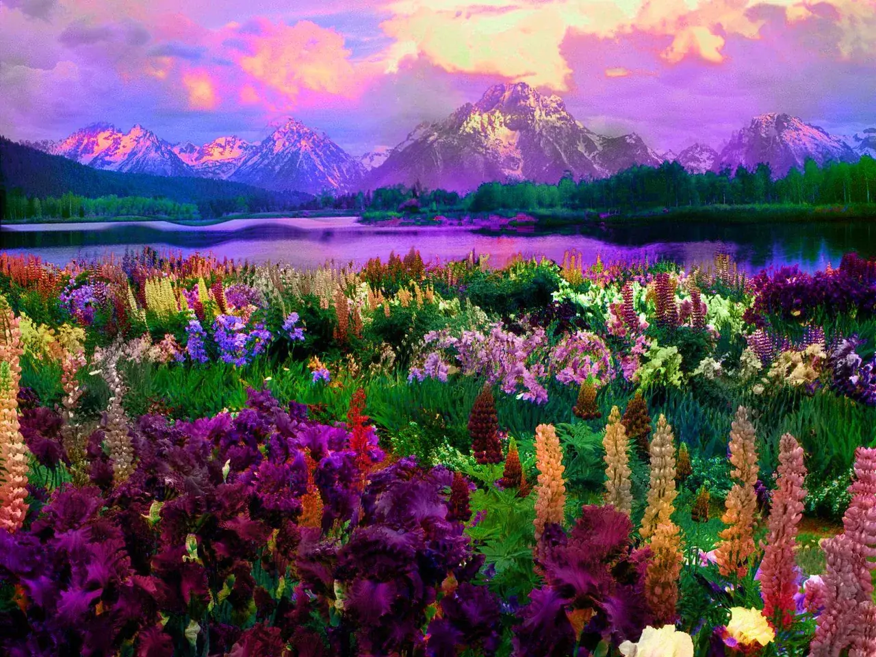 Fractal Replication in flowers - Normal X Psychedelic - Please, rate!