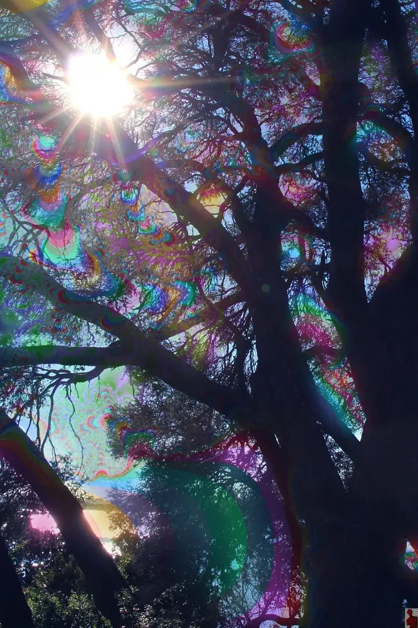 Not sure if this has been posted here before, but this is pretty accurate to what colors are like on about 250ug+ LSD (for me at least)