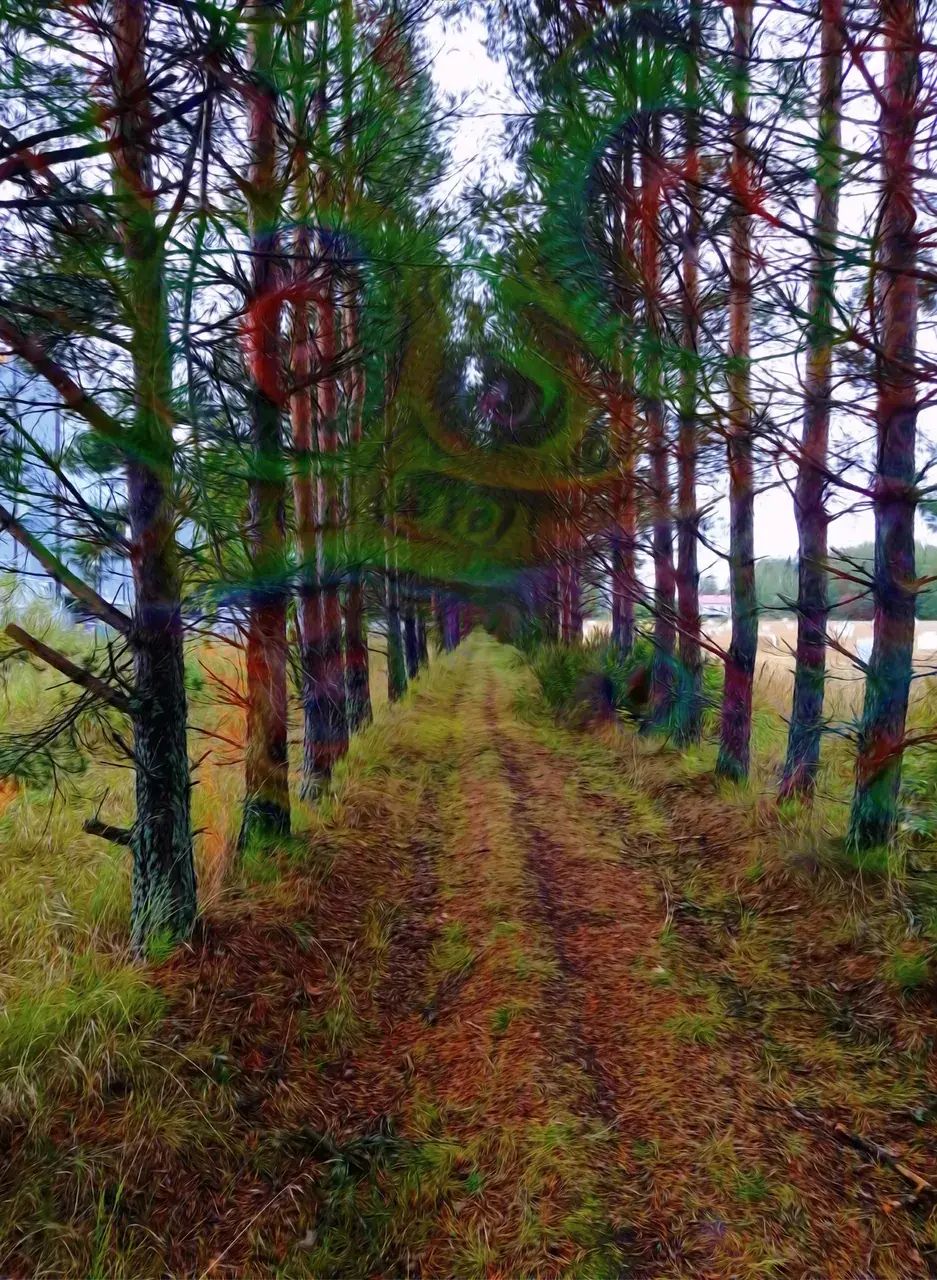 Going for a walk on shrooms