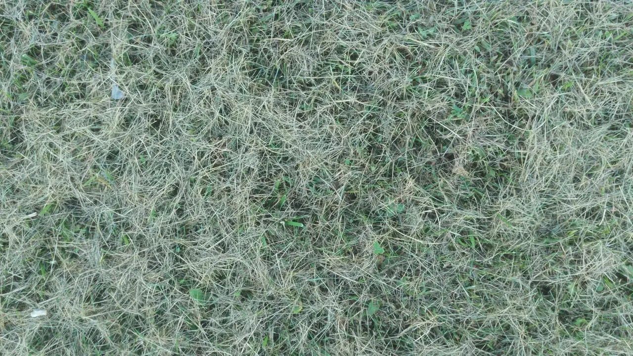 LSD - No post-processing of the image. What do you think?