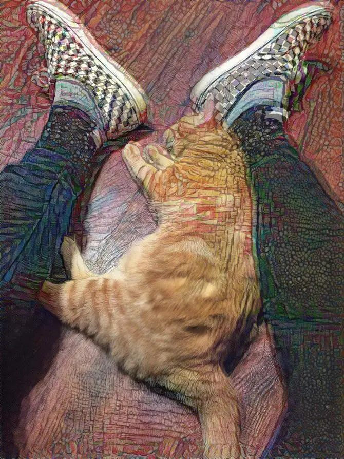 Peaking on 150ug acid with a cat. Anyone else get patches of normal vision amid the altered visuals?