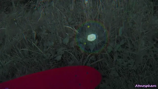 Psilocybin...